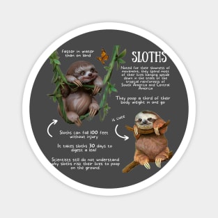 Animal Facts - Sloth Magnet